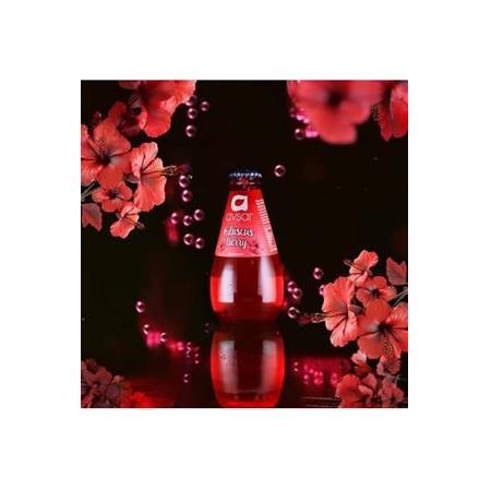 Avşar Hibiscus Berry Aromalı Maden Suyu 200 Ml X 24 Adet