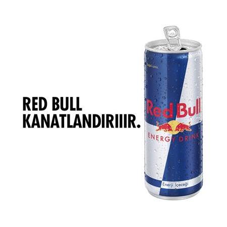 Red Bull Enerji İçeceği 250 Ml X 6 Adet