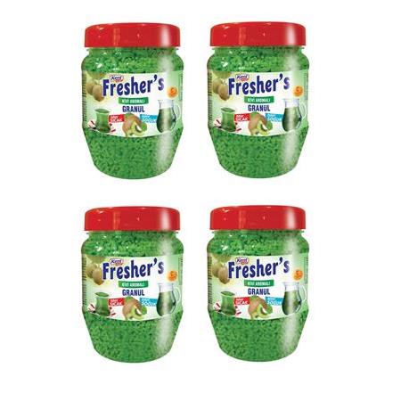 Kent Boringer Fresher's Kivi Aromalı Granül İçecek 300 Gr X 4 Adet